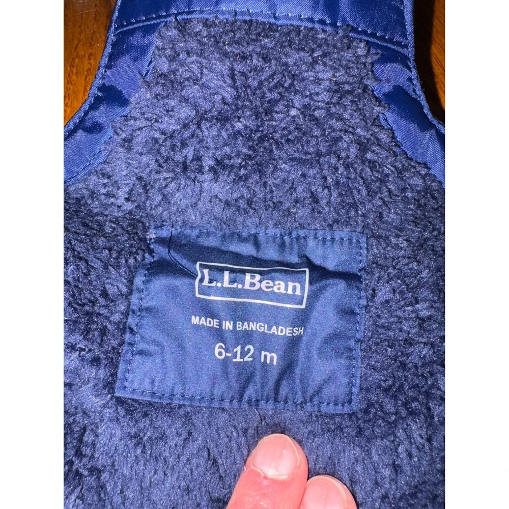 L.L. Bean bean down